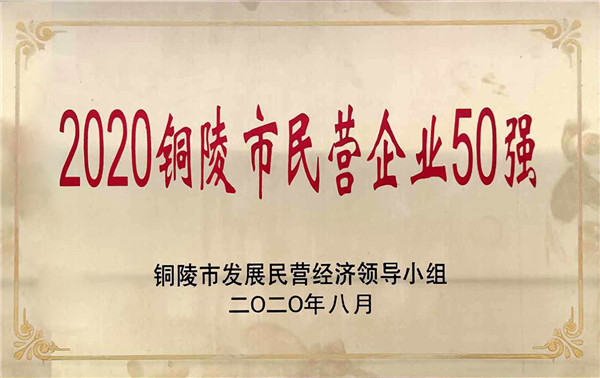 2020年銅陵市民營企業(yè)50強